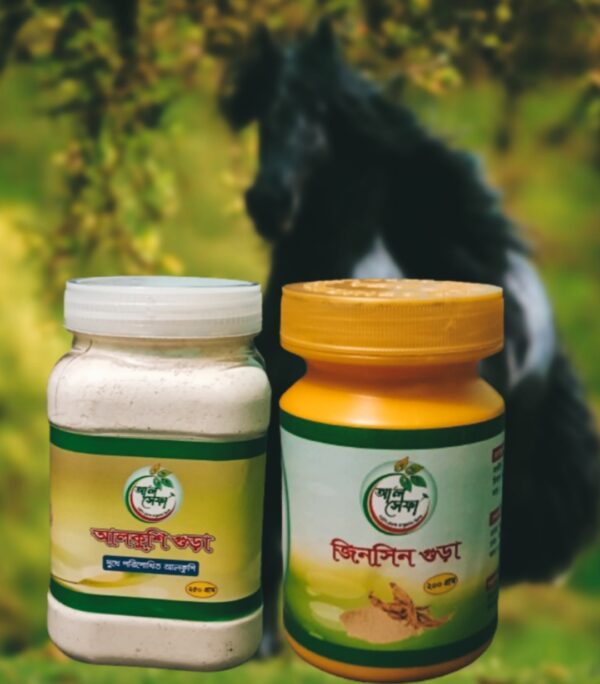 আল্কুসি ও জিনসিন. (Copy)